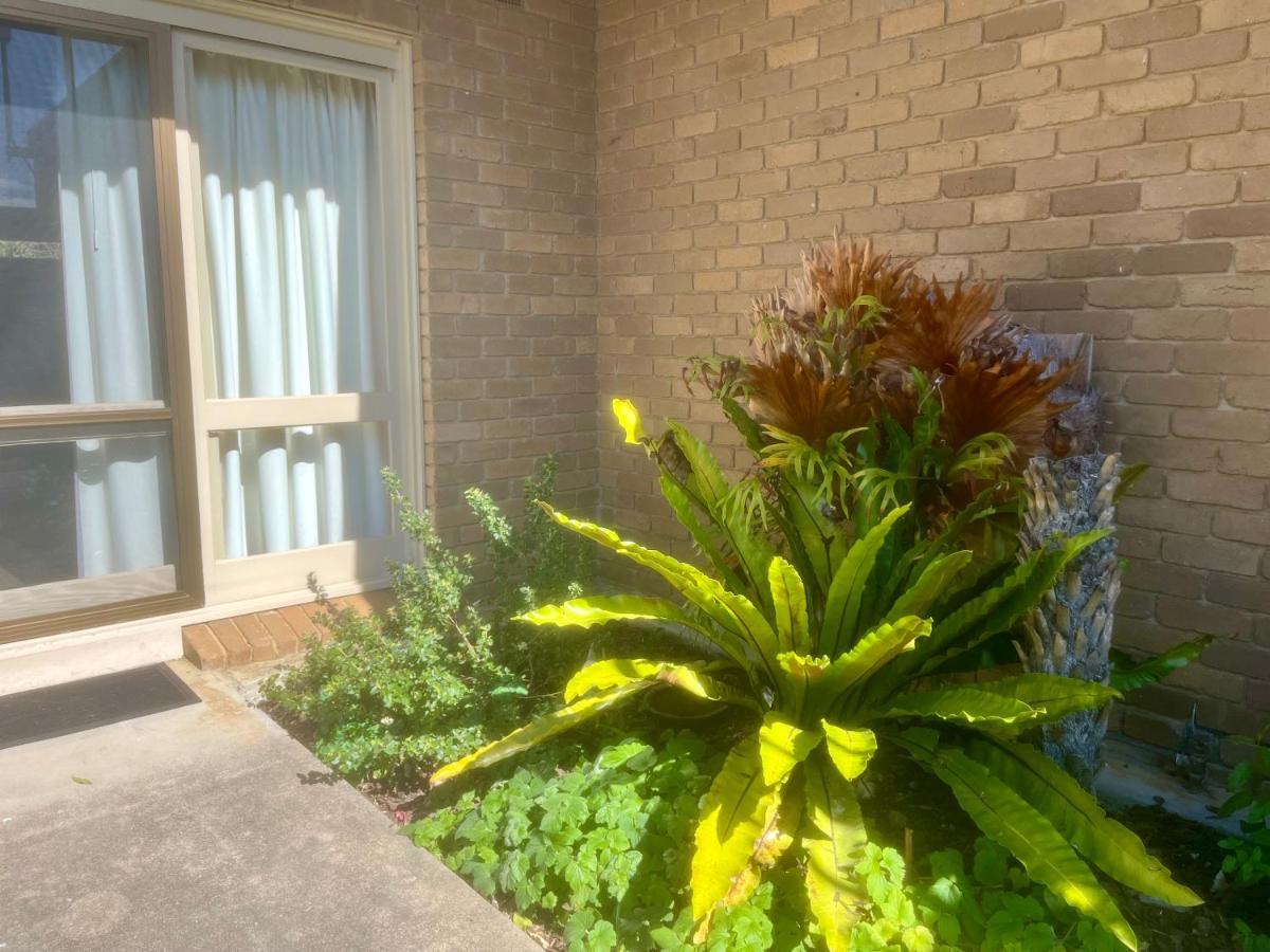 Gowings Of Mallacoota Exterior photo
